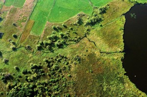 La Godivelle tourbières du lac d'en bas